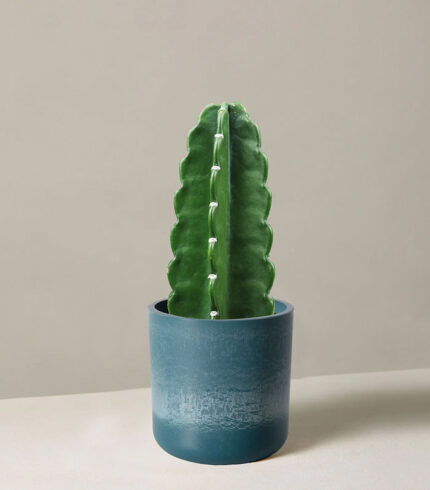 Mica Douro Pot - 图片 5